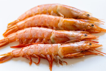 Four cold cooked pink prawns laid out in a row