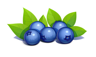 Blueberry with leaves, isolated on white background. Eps10 vector illustration.