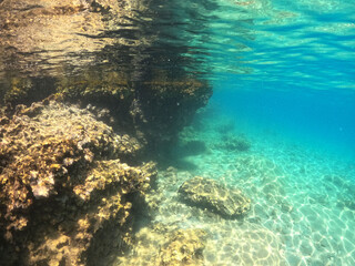 Naklejka na ściany i meble Underwater world of Aegean Sea. Near Marmaris, Turkey