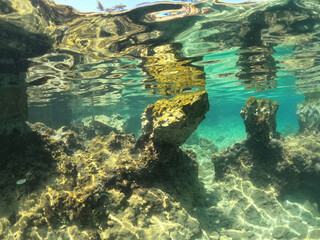 Underwater world of Aegean Sea. Near Marmaris, Turkey