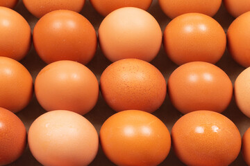 Group of raw brown eggs.