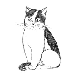 Funny cat on a white background, graphic drawing