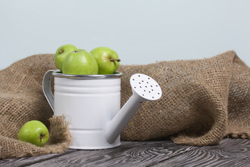 Green apples in a metal watering can.  On pine boards. Nearby a linen fabric.  Harvest apples.
