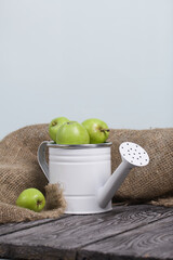 Green apples in a metal watering can.  On pine boards. Nearby a linen fabric.  Harvest apples.