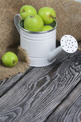 Green apples in a metal watering can.  On pine boards. Nearby a linen fabric.  Harvest apples.