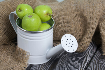 Green apples in a metal watering can.  On pine boards. Nearby a linen fabric.  Harvest apples.