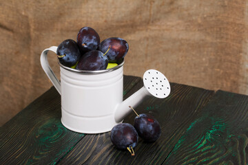 Large plums in a metal watering can.  On pine boards.  On a linen background.  Harvest plums.