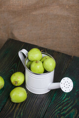 Green apples in a metal watering can.  On pine boards.  On a linen background.  Harvest apples.