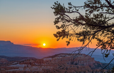 Bryce Canyon at sunrise with pine tree silhouette, Bryce Canyon national park, Utah, USA.