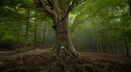 Woman hugging a large tree with face in the forest