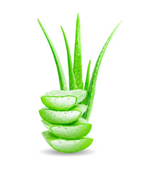 Fresh Aloe vera slice isolated on white background.