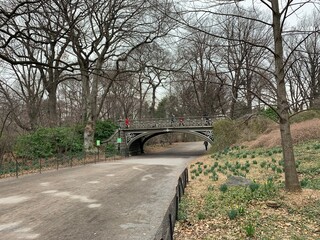 bridge in the park