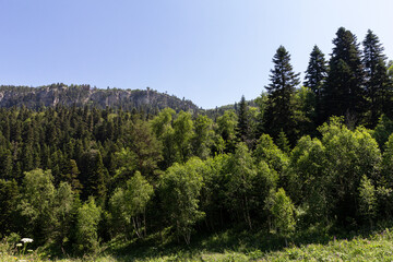 Panoramic views from mountain routes on a sunny summer day, walking and communicating with nature.