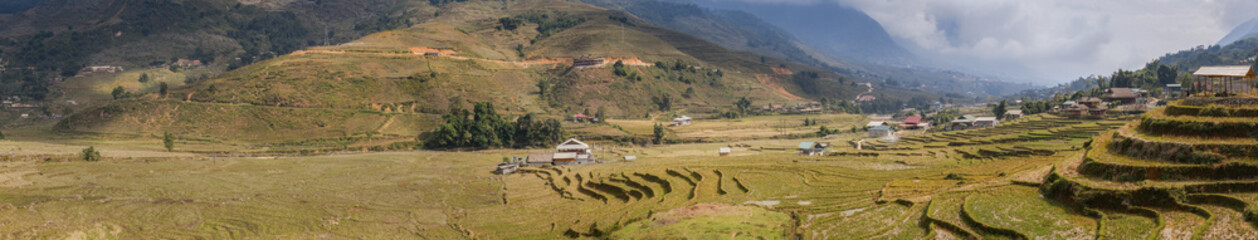 Fototapeta premium Sapa rice terraces panorama