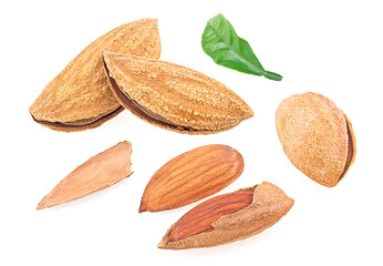Almond nuts with green leaves isolated on a white background. Almonds in shell.