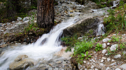 waterfall in the forest