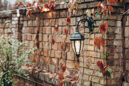 Vintage brick wall covered with autumn leaves and a lantern hanging at it at the autumn yard. Seasons concept. Stock photo
