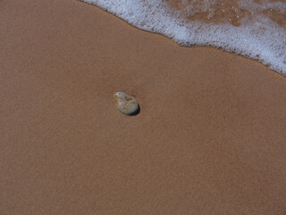 Sea sandy shore and one pebble.