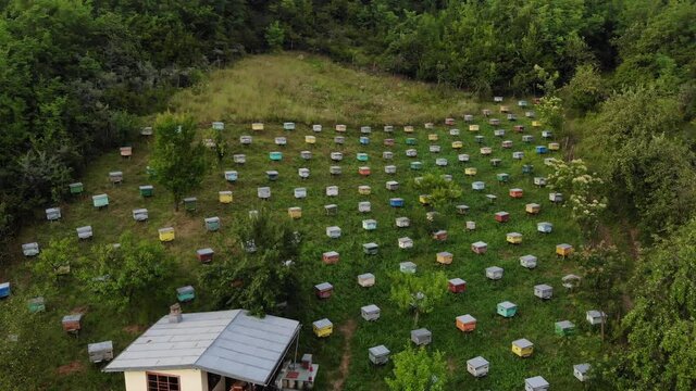 Aerial shot.A bee apiary with a group of hives is located in the forest and a small house . The view from the top.At the golden Hour, In Prahova Romania 
