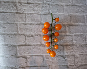 A vine of cherry tomatoes on white brick