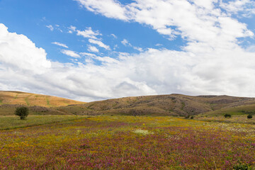 Spectacular view of the wonderful grass mountains within the borders of Kelkit, Gumushane