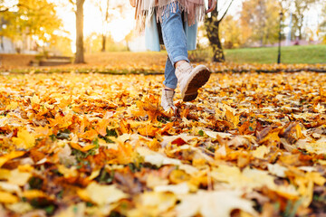 Legs of unrecognosable woman wearing brown boots and jeans in autumn yellow foliage walking in park or forest