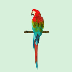 Low poly parrot illustration design © Rosianna