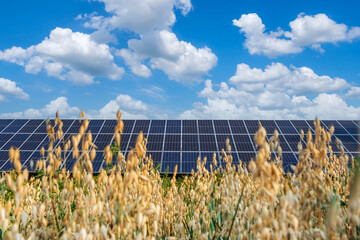 Solar panels on a solar farm under a blue cloudy sky in agricultural field. Solar power plant, an...
