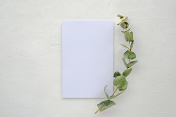 White leaf on white table decorated with eucalyptus branch. Mockup. Top view