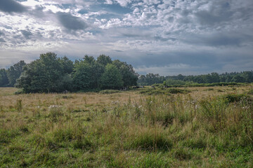 Obraz premium clouds over the forest