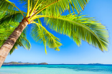 Beauty beach in Palawan island, Philippines