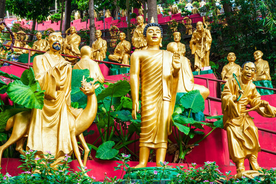 Ten Thousand Buddhas Monastery, Hong Kong