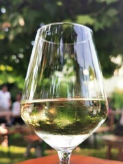 glass of wine on the table