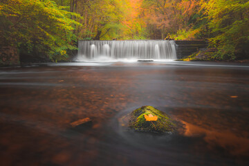 A beautiful, colourful Autumn woodland scene with waterfall, vibrant fall colours and a lone orange maple leaf on a surface rock at Gore Glen outside Edinburgh, Scotland.