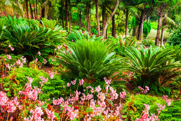 Monte Palace Tropical Garden in Madeira
