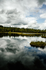 Chalupska moor path. Chalupska moor in summer, Sumava, National Park, Czech Republic. Travel...