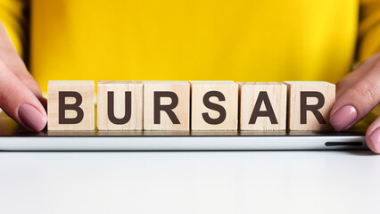 woman made word bursar with wooden blocks, concept