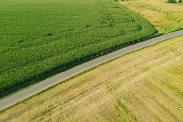 Przedgórze sudeckie. Pofałdowany nierówny teren pokryty polami uprawnymi, łąkami i kępami drzew. Poprzecinany liniami polnych i asfaltowych dróg. Jest słoneczny dzień. Widok z drona.