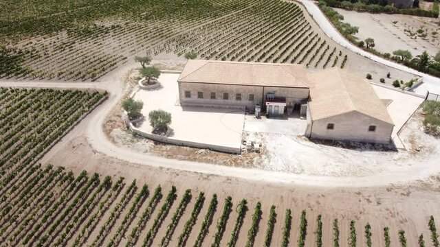 Aerial view of a Sicilian millstone with rows of vines around on a hot summer day, Marzamemi, Sicily, Italy