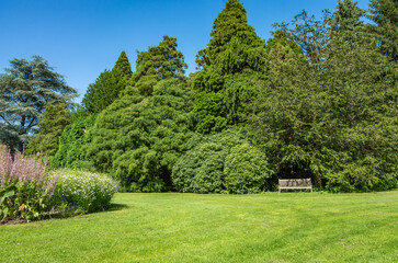 Wooden bench in Arboretum, Kalmthout, Belgium