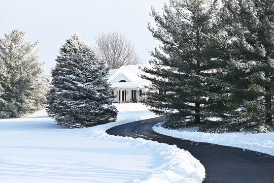 Curved Driveway in Winter