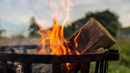 Bonfire in a fire pit