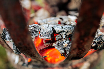 Burning log
