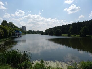 Fototapeta premium lake in the park