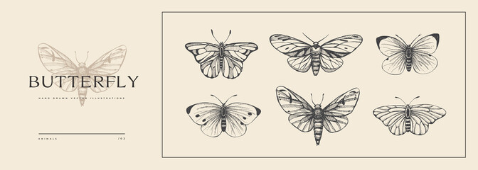 Set of hand-drawn butterflies. Insects in vintage style. Vector illustration for animalistic background. Design element for postcard, poster, cover, invitation. - obrazy, fototapety, plakaty