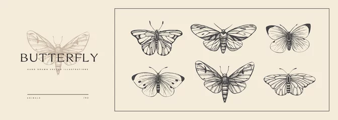 Fotobehang Set of hand-drawn butterflies. Insects in vintage style. Vector illustration for animalistic background. Design element for postcard, poster, cover, invitation. © KOSIM