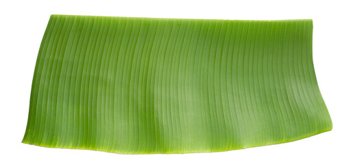Banana green leaf on white background.