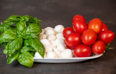 tomatoes, cheese and basil laid out on a plate in the shape of the Italian flag