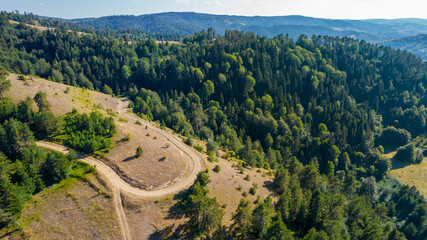 Fototapeta na wymiar Mountain road with forest landscape. Aerial view of green forests. Birds eye view use the drone in morning bright sunlight..