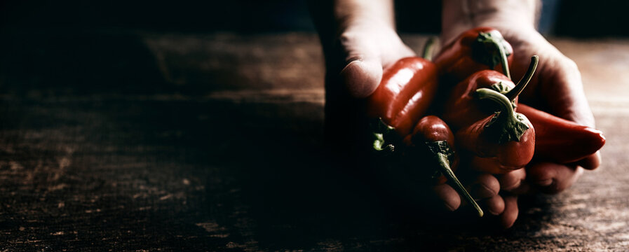 Closeup shot of hands holding fresh chili peppers